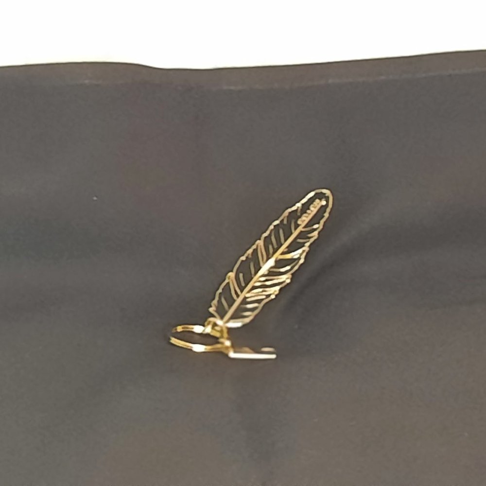 Coach keyring
